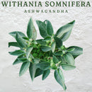 Ashwagandha Spray (50ml)