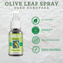 Olive Leaf Spray 50 ml.